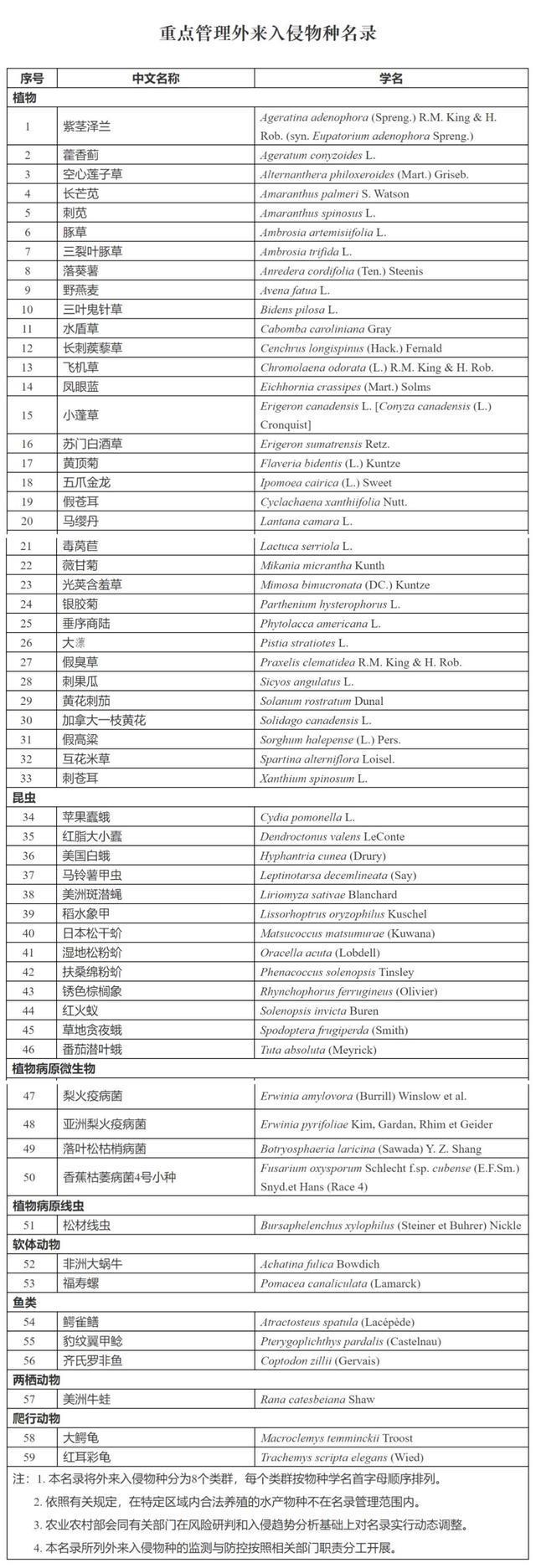 59个外来入侵物种上了黑名单  加拿大一枝黄花、红火蚁、福寿螺等上榜