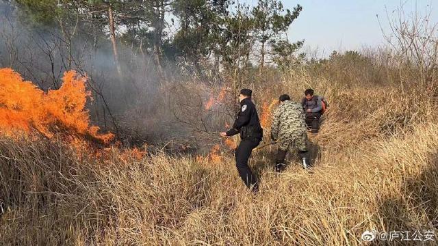 村民烧纸祭祖时起大风大片杂草被引燃 民警火速出击