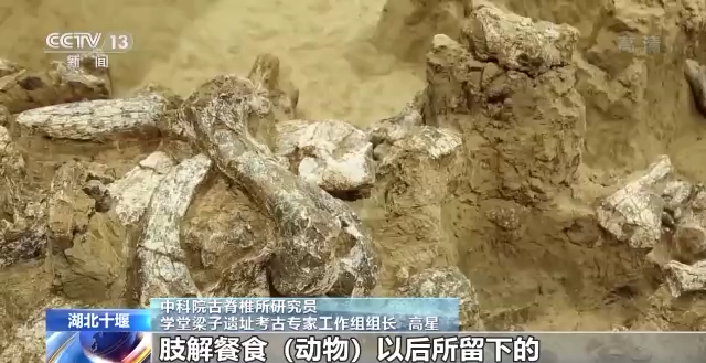 “郧县人”3号头骨化石提取出土