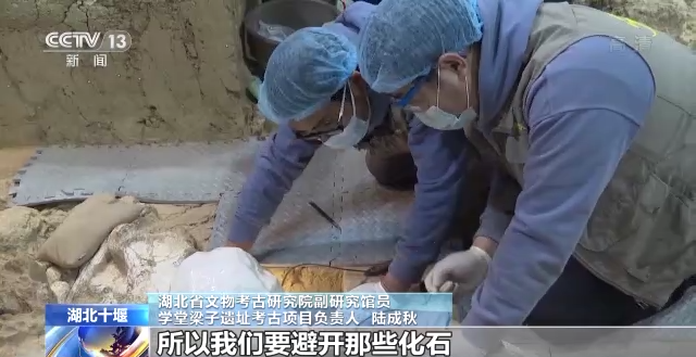 “郧县人”3号头骨化石提取出土