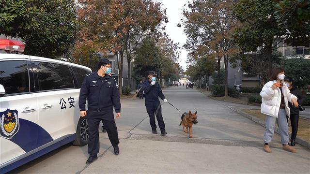 82岁老人患新冠不愿拖累子女离家出走，不想给子女添负担