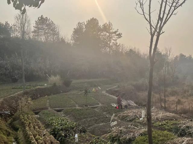 山中抱团养老十年:曾是同事兼猎友，修建几年很快乐 住的时候发现琐事缠身