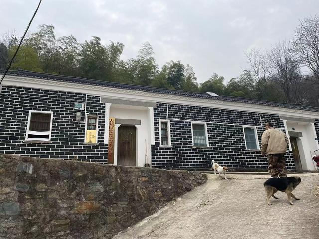 山中抱团养老十年:曾是同事兼猎友，修建几年很快乐 住的时候发现琐事缠身