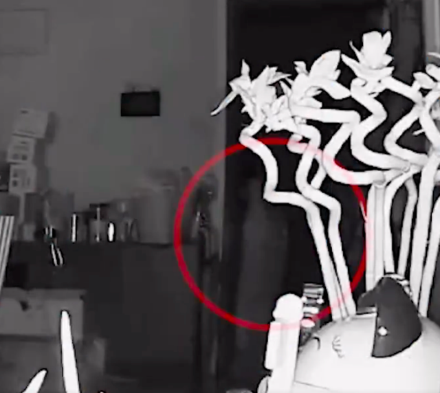 警方调查宠物狗被邻居砍杀案 涉事人称为自保连砍十几刀