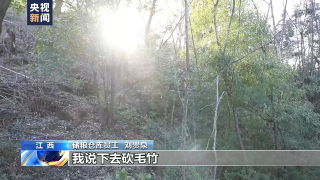 粮库门卫讲述:意外发现胡鑫宇尸体 本想砍根毛竹晒棉被