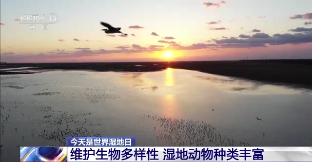 中国湿地保护成绩单来了