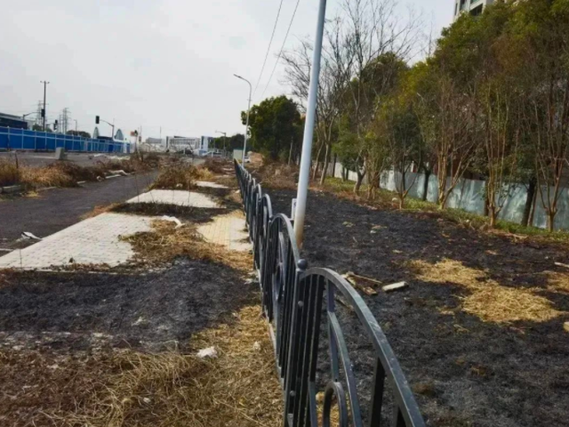 离谱！老人等公交无聊点绿化带取暖被罚款，以为烧柴火呢