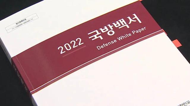 “朝是敌人，美是亲人？”韩国发国防白皮书 朝鲜不会用洲际弹道导弹瞄准首尔