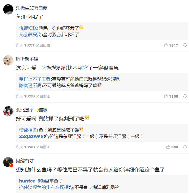 渔民误捕江豚后果断放生 网友纷纷发问这是什么鱼啊这么漂亮！