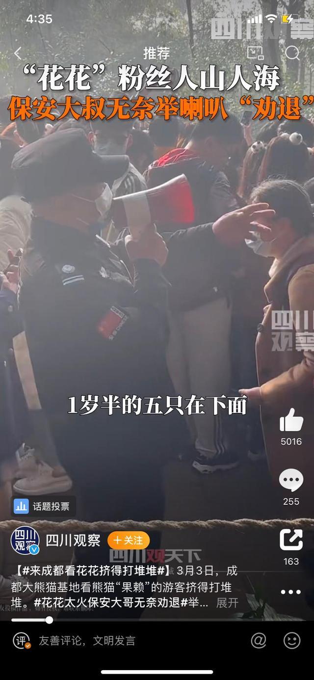 熊猫花花是笨蛋美人吧，还有独一无二无的等边三角形身材