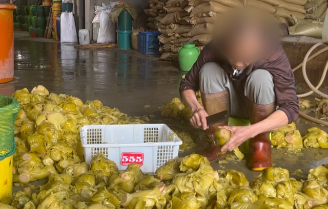 汕头现工人赤脚踩腌菜 脚尖上的橄榄菜酸爽味独特
