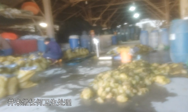 汕头现工人赤脚踩腌菜 脚尖上的橄榄菜酸爽味独特