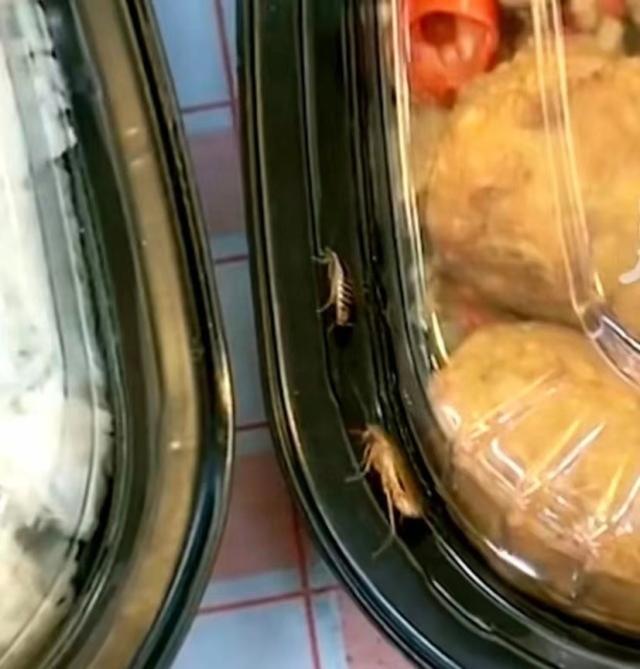 杭州沃尔玛回应盒饭上蟑螂乱爬  已进行除虫害并向顾客致歉