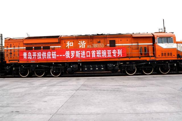 俄罗斯豌豆专列抵达青岛 是俄罗斯豌豆进口到中国市场的一个全新的里程碑
