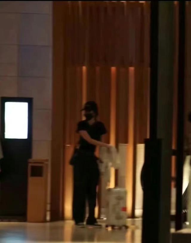 港媒曝刘恺威女友怀孕已两月，小糯米抚养权成吃瓜群众关注重点