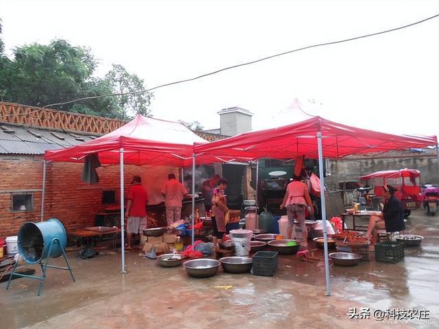 “流水席”被叫停？全国实行“大清查”以后农村宴席在新规下还能办吗？