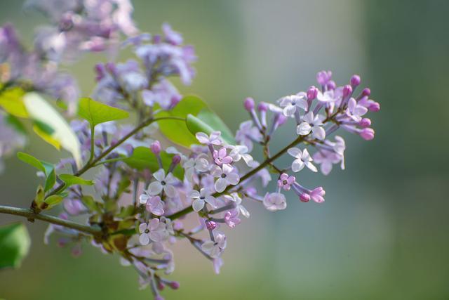 多地殡仪馆现无主骨灰盒，最长超40年，墓地无人续费会腾出继续出售