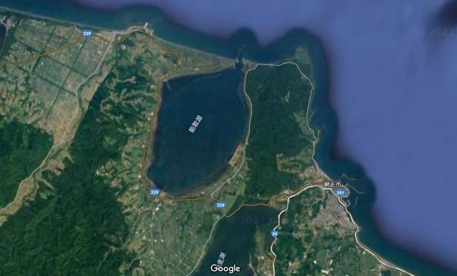 日本能取湖1.8亿扇贝集体死亡：幼扇贝大面积死亡恐将“绝后”