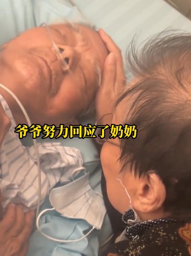 奶奶摸头安慰病重爷爷：结婚60周年时咱们办场婚礼 朝着有亮的地方走