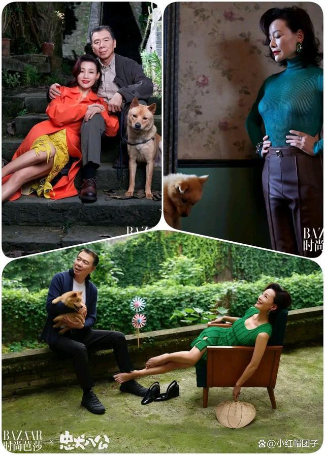 陈冲携冯小刚登时尚芭莎 还带着中华田园犬“八筒”