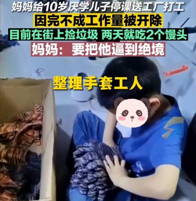 男孩厌学被母亲送厂打工 男孩觉得，学习好像比捡废品轻松一些