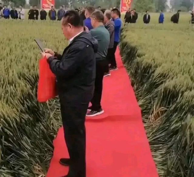 官方谈收割机滞留事件：目前问题已解决