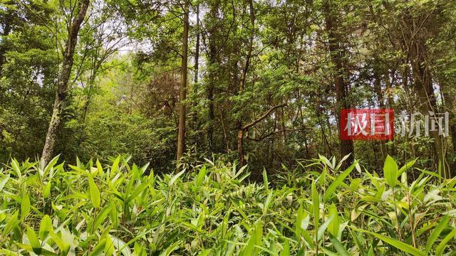 男孩失踪13年尸骨被发现，两名村妇被警方带走