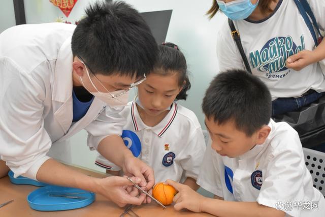 小学生为小橘子“动手术” 在医生的指导下孩子们“工作”有模有样