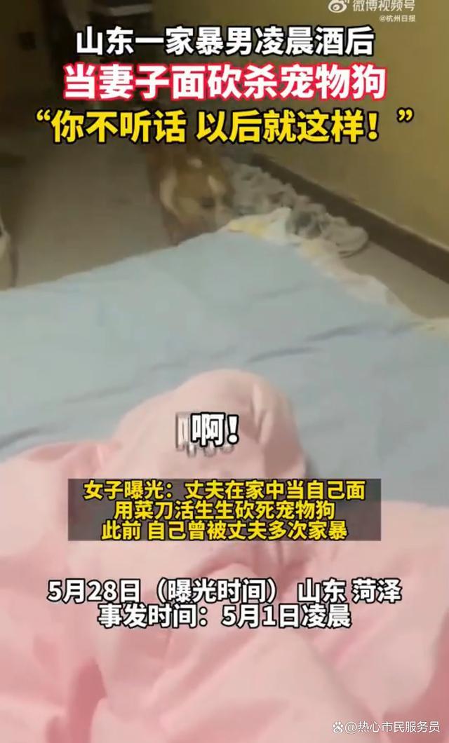 家暴男被指当妻子面砍杀宠物狗 举刀威胁别不听话