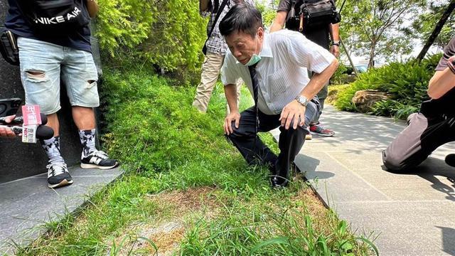 台法医专家谈坠亡高中生 怀疑死者生前被投毒，再从10楼扔下，案件有共犯