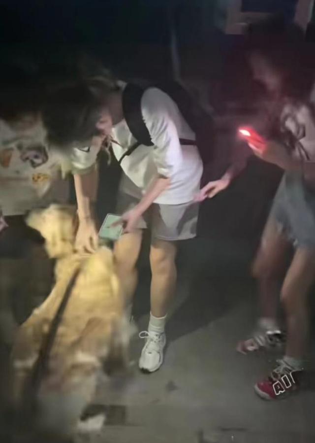 大学生免费帮人遛狗 被调侃“学生证换狗”
