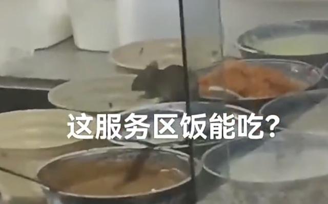 河南一服务区负责人回应菜盆中现老鼠：是外包餐饮