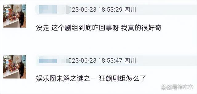 狂飙剧组缺席白玉兰红毯：张颂文坐观众席，张译没来上热搜