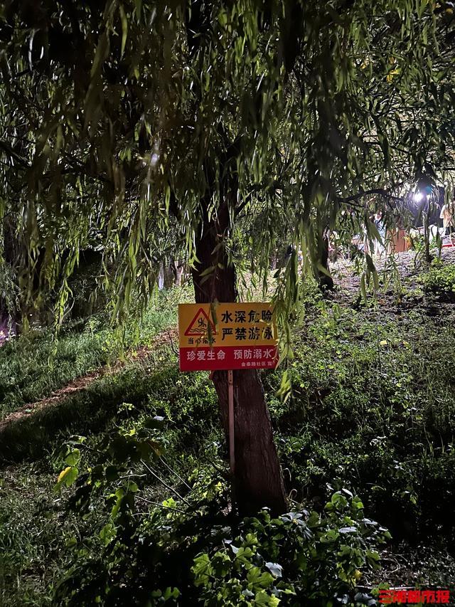 父亲带娃游泳孩子失踪 呼救后失联。目前，水警、消防等部门仍在现场救援。