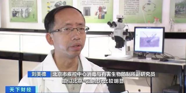 为何感觉今年蚊子变少了 疾控中心：高温致蚊虫活动减少