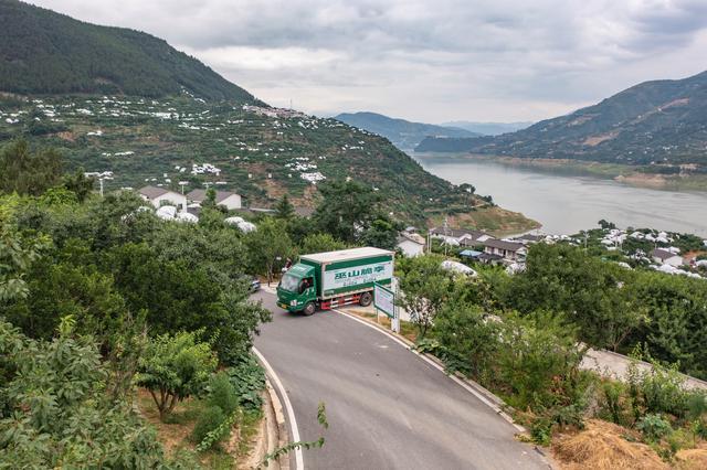 长江行丨巫山脆李出峡记