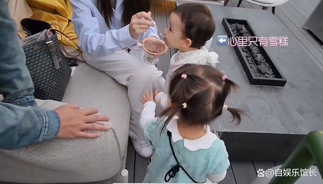 郑恺苗苗同框带娃,为帮忙照顾孩子小姨也一起去了