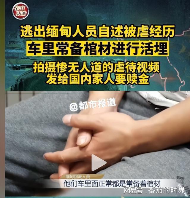 网友为云南边防发声，是自己的贪欲被骗，云南边防对得起每一个人