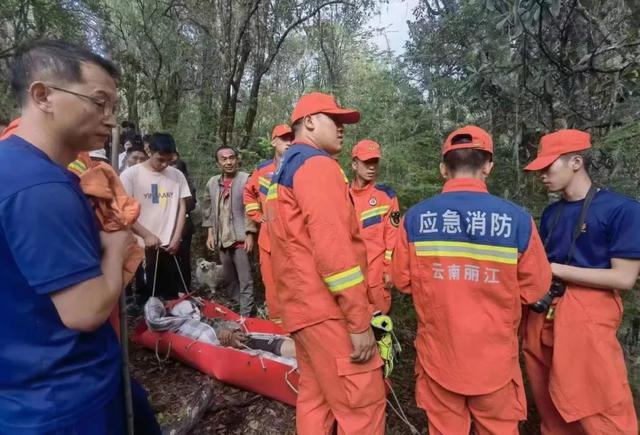 男子上山捡菌遭黑熊袭击 仅头部就缝了五六十针