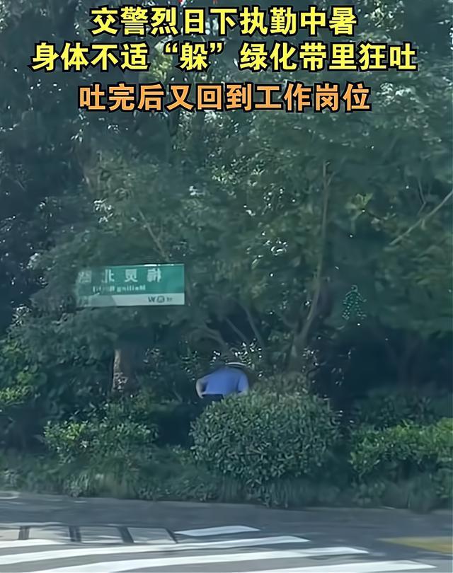 交警酷暑执勤呕吐仍坚守 网友：深受感动