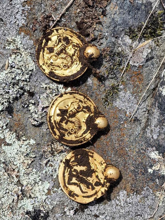 挪威男子捡1500年前珠宝 包括9件黄金垂饰、10颗金色珍珠和3枚戒指,挪威男子捡到千年前珠宝