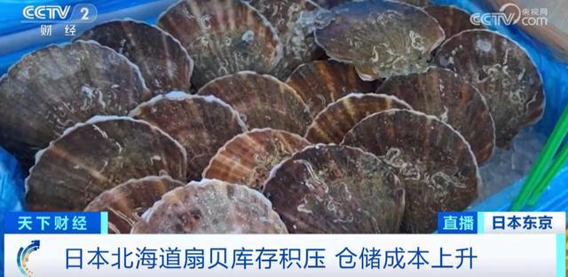 日本给学校发放滞销海鲜，仓库中堆积如山！