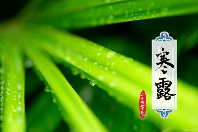 10月8日寒露,为何说今年寒露“不一般”,有啥说法?早了解