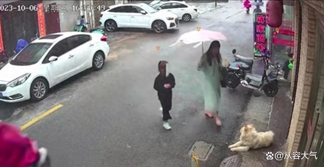 江苏女子摸狗遭疯咬后续：被咬女子面部几乎毁容，狗主人恐面临巨额赔偿