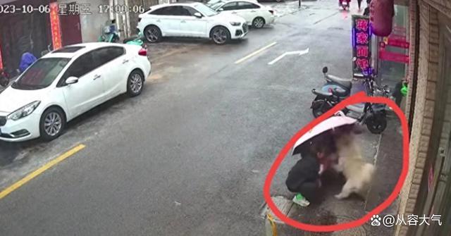 江苏女子摸狗遭疯咬后续：被咬女子面部几乎毁容，狗主人恐面临巨额赔偿