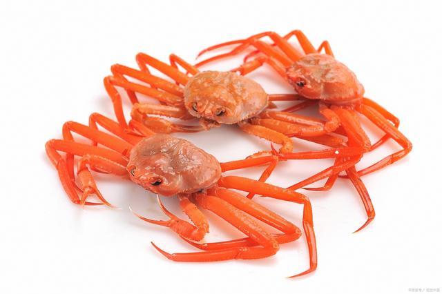 美媒阿拉斯加数十亿只雪蟹饿死罪魁祸首海水变暖