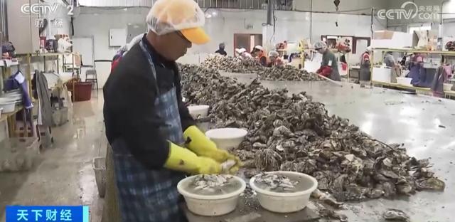 中国已成韩国最大水产品出口市场，今年同比增长近三倍
