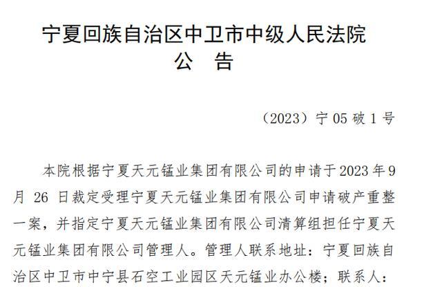 圖片來源:全國企業破產重整案件信息網據寧夏中衛市中院查明天元錳業