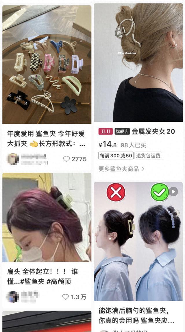 女子戴鲨鱼发夹晕倒后致头部骨折