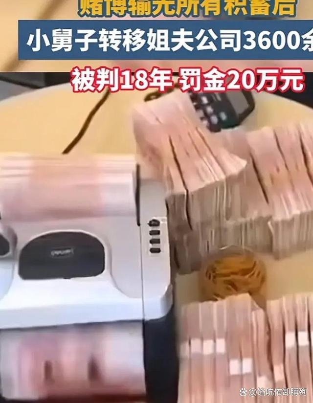 上涨一男子赌博输光堂姐夫妇公司3600万获刑！